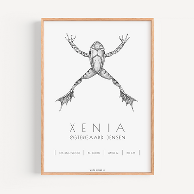 Personlig fødselsplakat - Xenopus - X