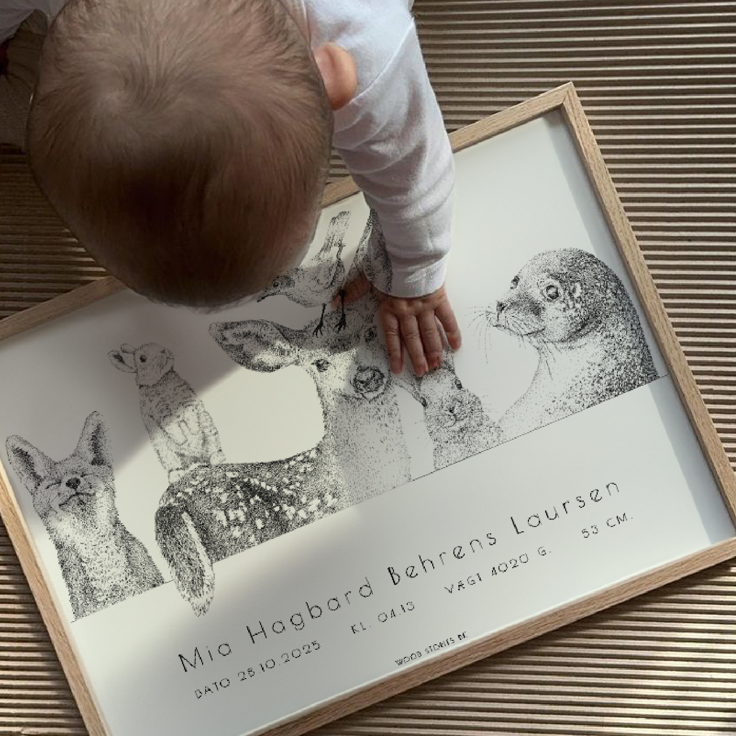 Personlig fødselsplakat med Danmarks dyr og barnets navn + fødselsdata til børneværelse