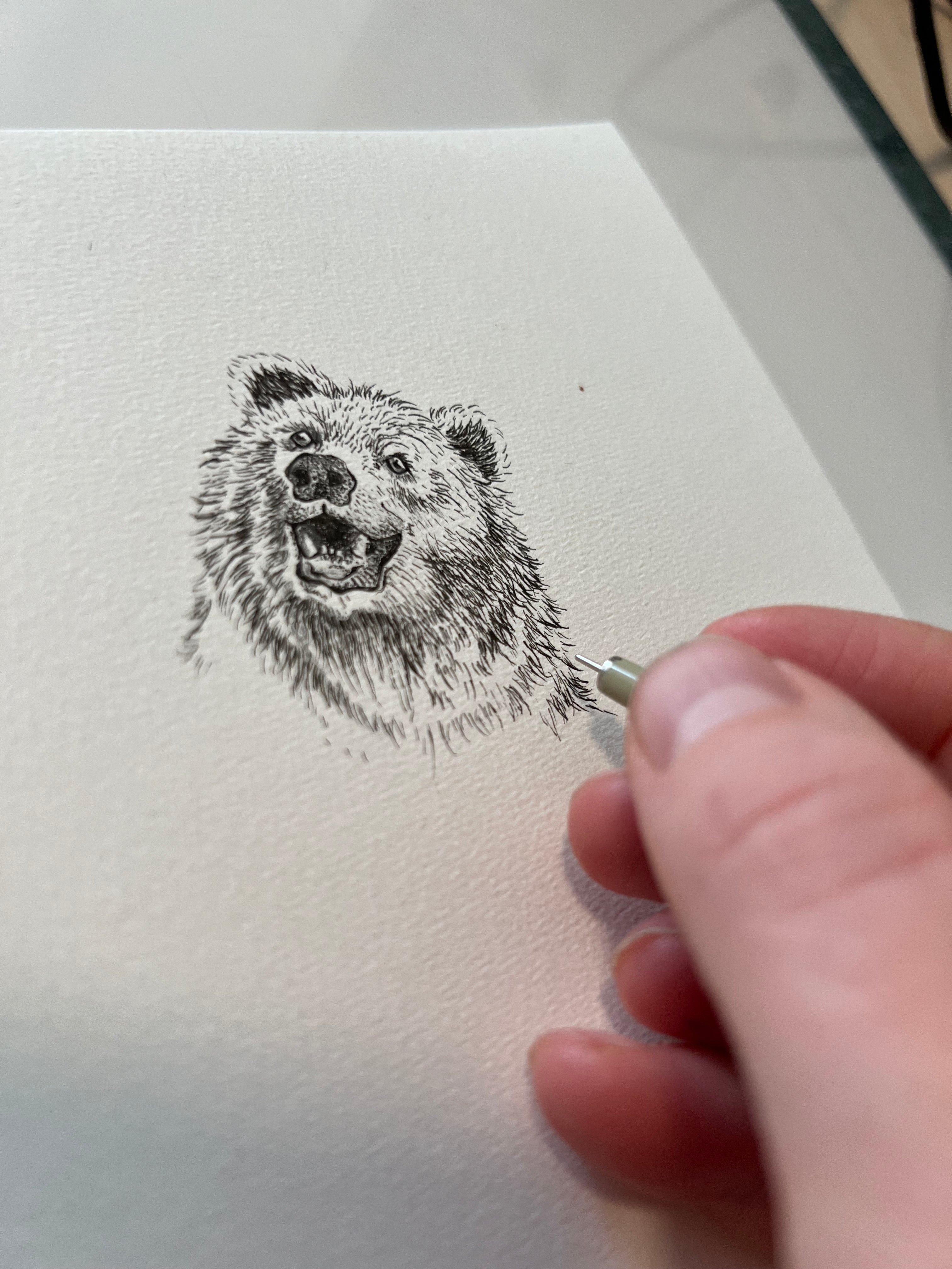Håndtegnet illustration af bjørn i sort-hvid med fine detaljer.