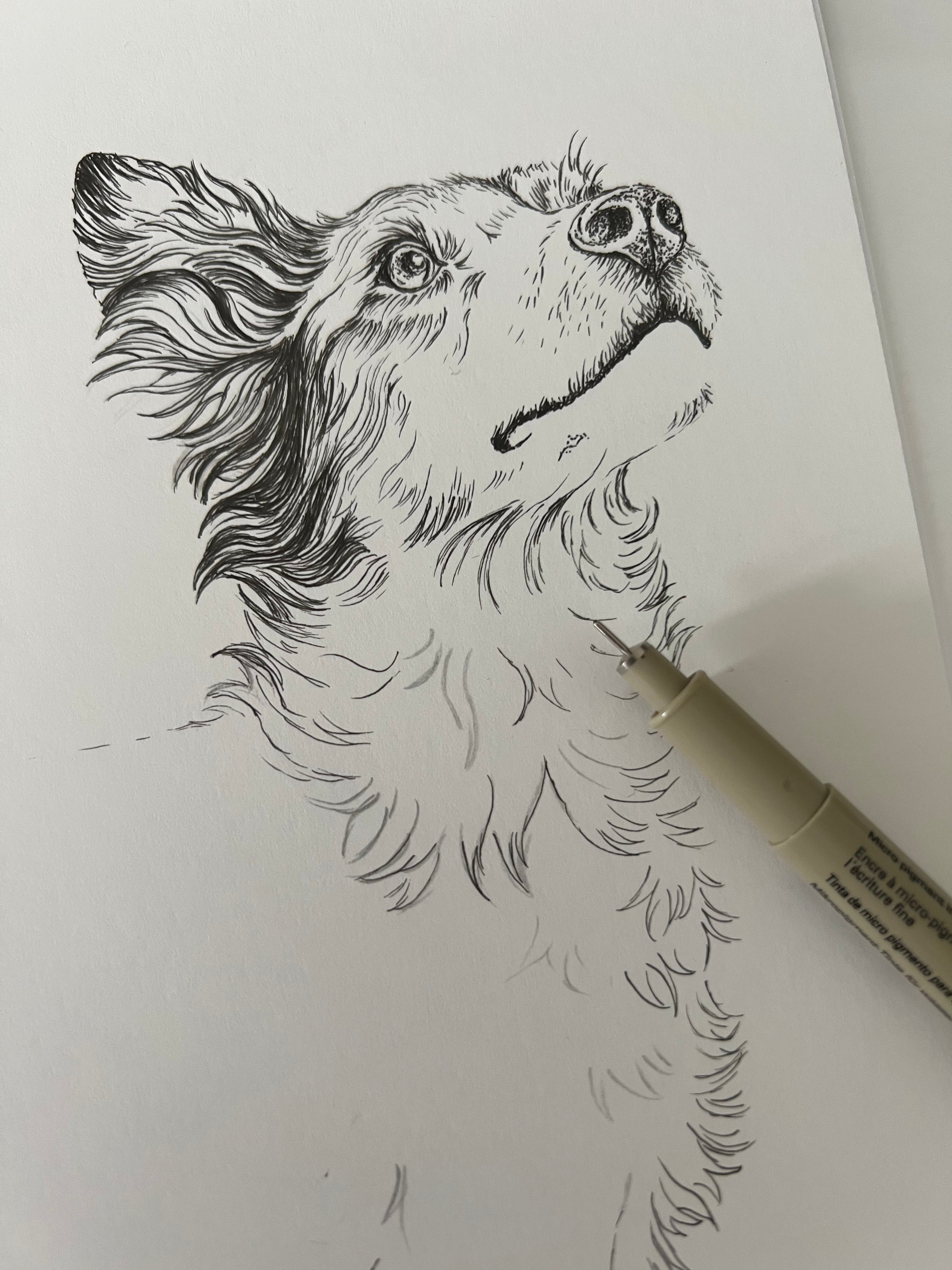 Håndtegnet illustration af Hund i sort-hvid med fine detaljer.